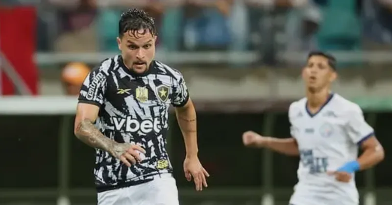 Botafogo: Rebaixamento de 2014 à Conquista da Libertadores 2024 | Superação Alvinegra