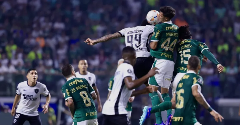 Botafogo vs Palmeiras: Duelo Marcado Pós Virada Alviverde em Copa de Clubes