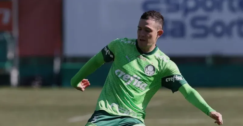 Botafogo x Palmeiras: Aníbal Moreno Volta e Impacta Estratégia do Glorioso