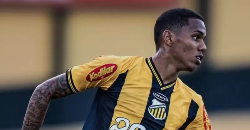 Botafogo e Dantas: Entenda o Impasse na Negociação do Zagueiro do Novorizontino